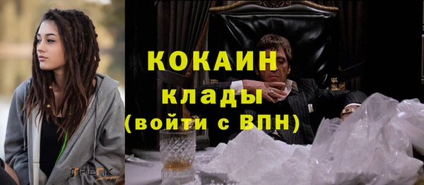 сатива Аркадак