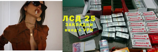 прущие крисы Арсеньев