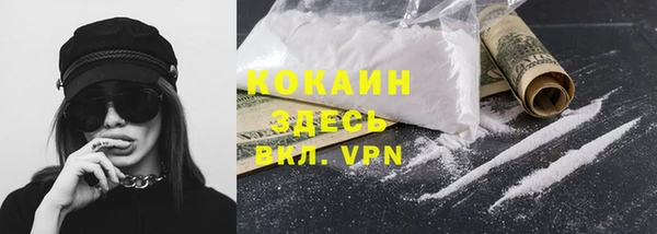 сатива Аркадак