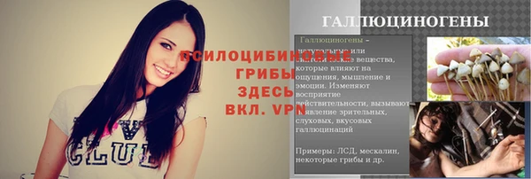 прущие крисы Арсеньев