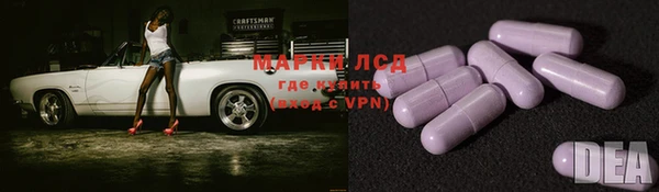сатива Аркадак