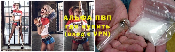 сатива Аркадак